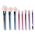 BH Cosmetics The Total Package 8 Piece Face & Eye Brush Set With Wrap
