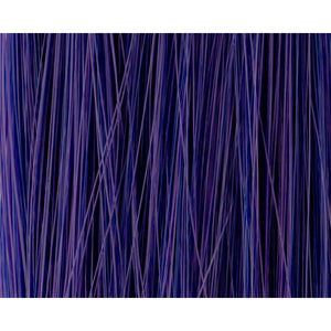 Lorvenn Elec Col Vibes