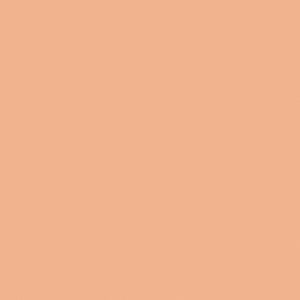 Naj Oleari Blooming BB Foundation