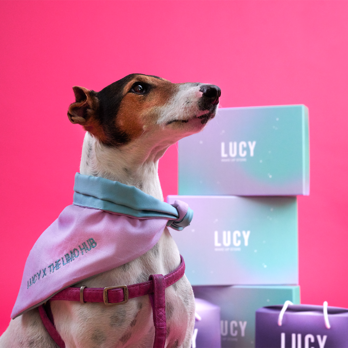 Lucy Dog Bandana