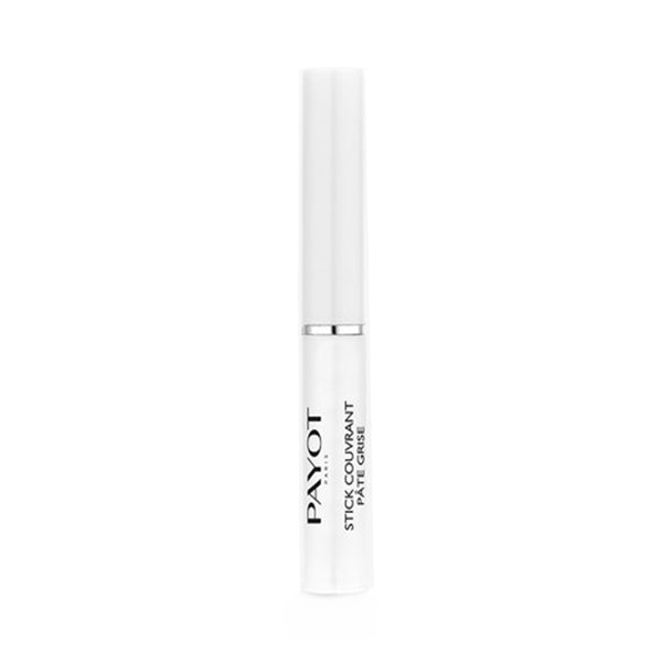 Payot Pâte Grise Purifying Concealer with shale extract
