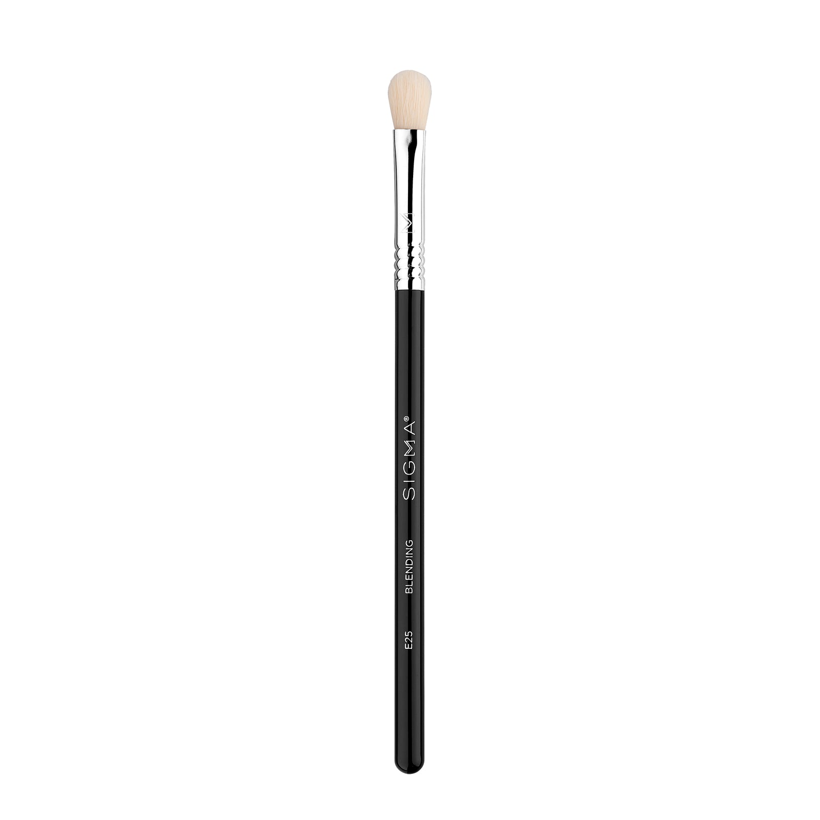Sigma E25 Blending Brush