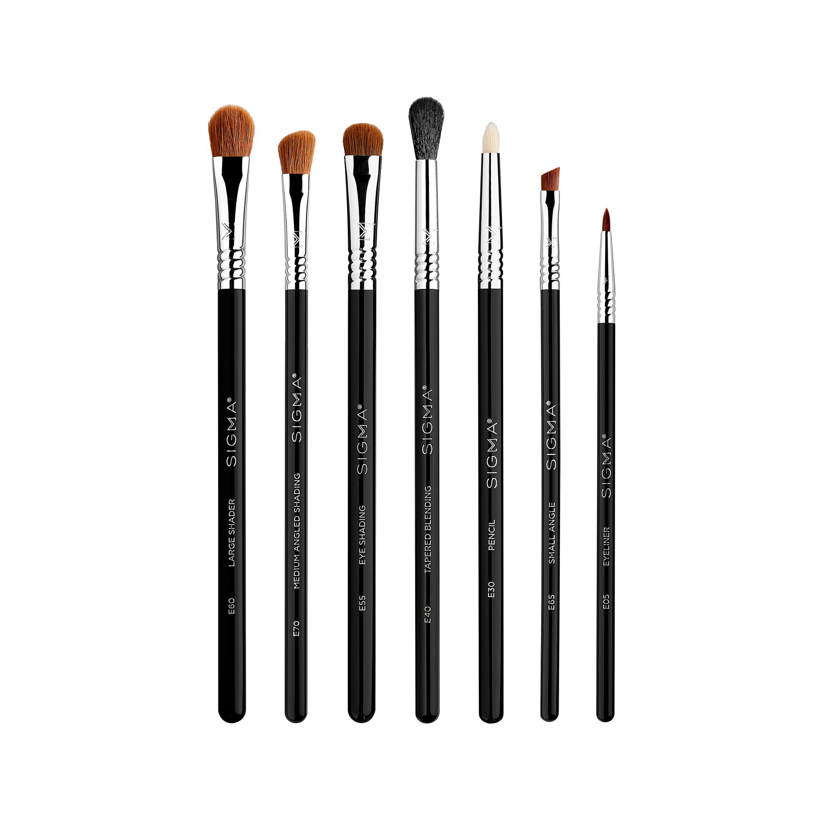 Sigma Basic Eye Brush Set